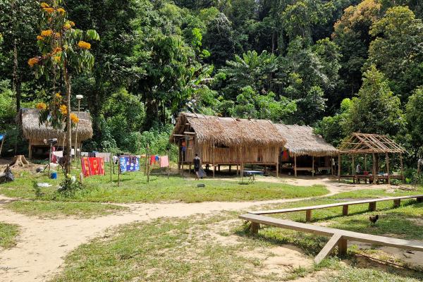 Orang Asli village i Taman Negara Nationalpark