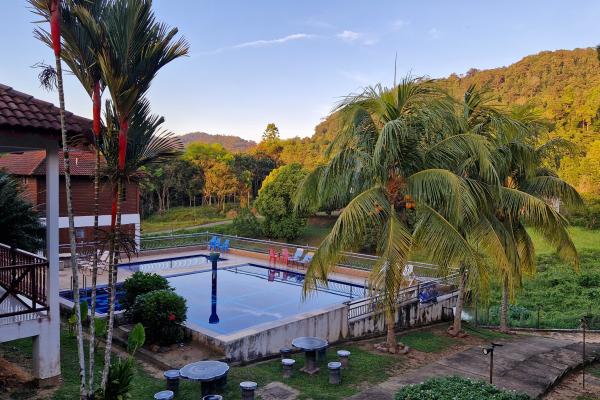 Tekoma Resort med udsigt til jungle