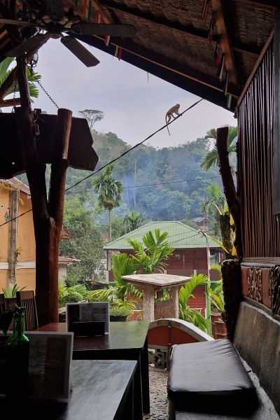 Aber i Bukit Lawang