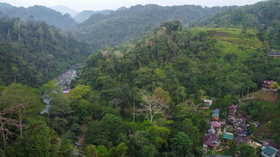 Bukit Lawang i junglen