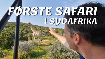 Første safari i Sydafrika