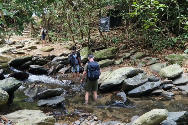 Jungletur på Sumatra