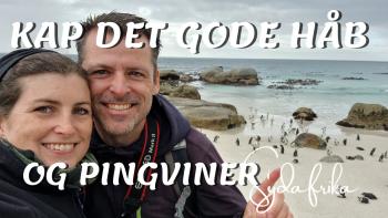 Kap det gode håb - rejsevideoer