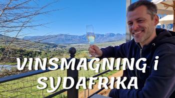 Vinsmagning i Sydafrika