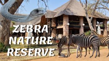 Zebra Nature Lodge SA