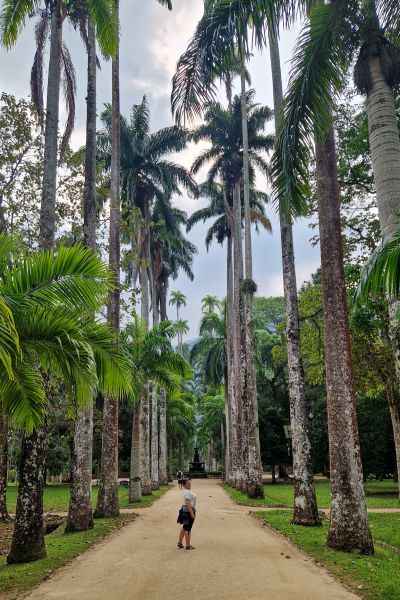 Botanisk Have i Rio de Janeiro Brasilien