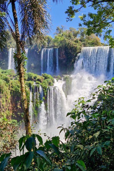 Iguazu vandfaldene omgivet af jungle