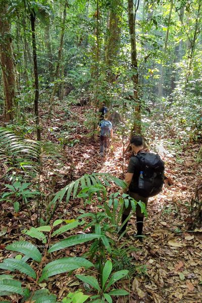 Oplevelser i Amazonas